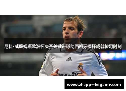 尼科·威廉姆斯欧洲杯决赛关键进球助西班牙捧杯成就传奇时刻